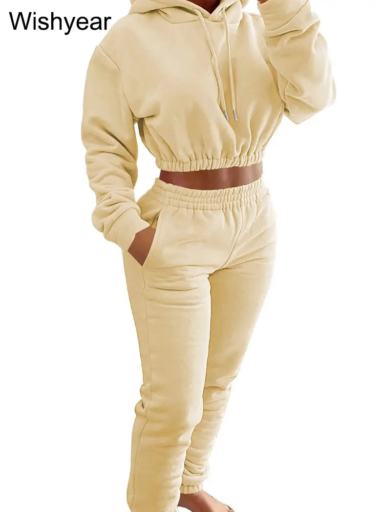 Elegant Sweatshirt Hoodie Crop Top and Leggings Sweatpants Thick Warm Velvet Two Piece Pants Set Women Winter Outfit Sweatsuit FZwear