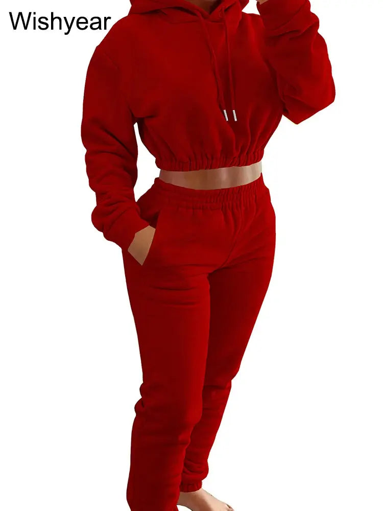 Elegant Sweatshirt Hoodie Crop Top and Leggings Sweatpants Thick Warm Velvet Two Piece Pants Set Women Winter Outfit Sweatsuit FZwear