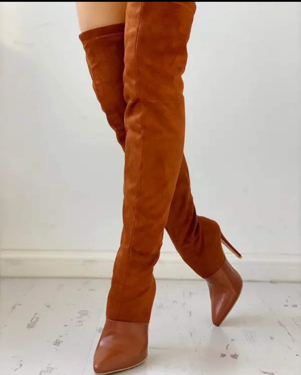 FZ Women's Pointed Toe Over The Knee Boots - FZwear