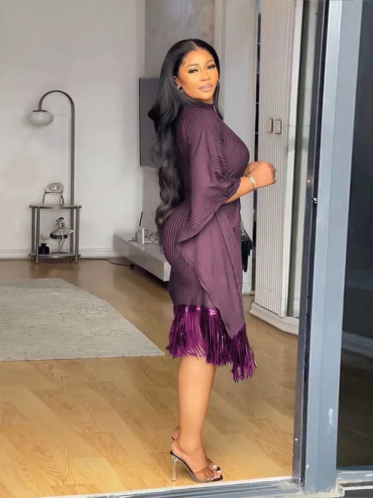 FZ Women's Tassel Sequin Stretchy Batwing Sleeves French Style Knitted Dress