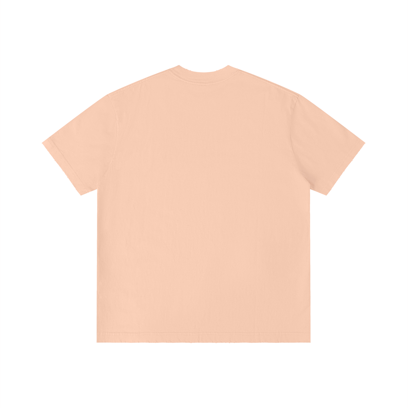 FZ Unisex Vintage Wash Distressed Tee