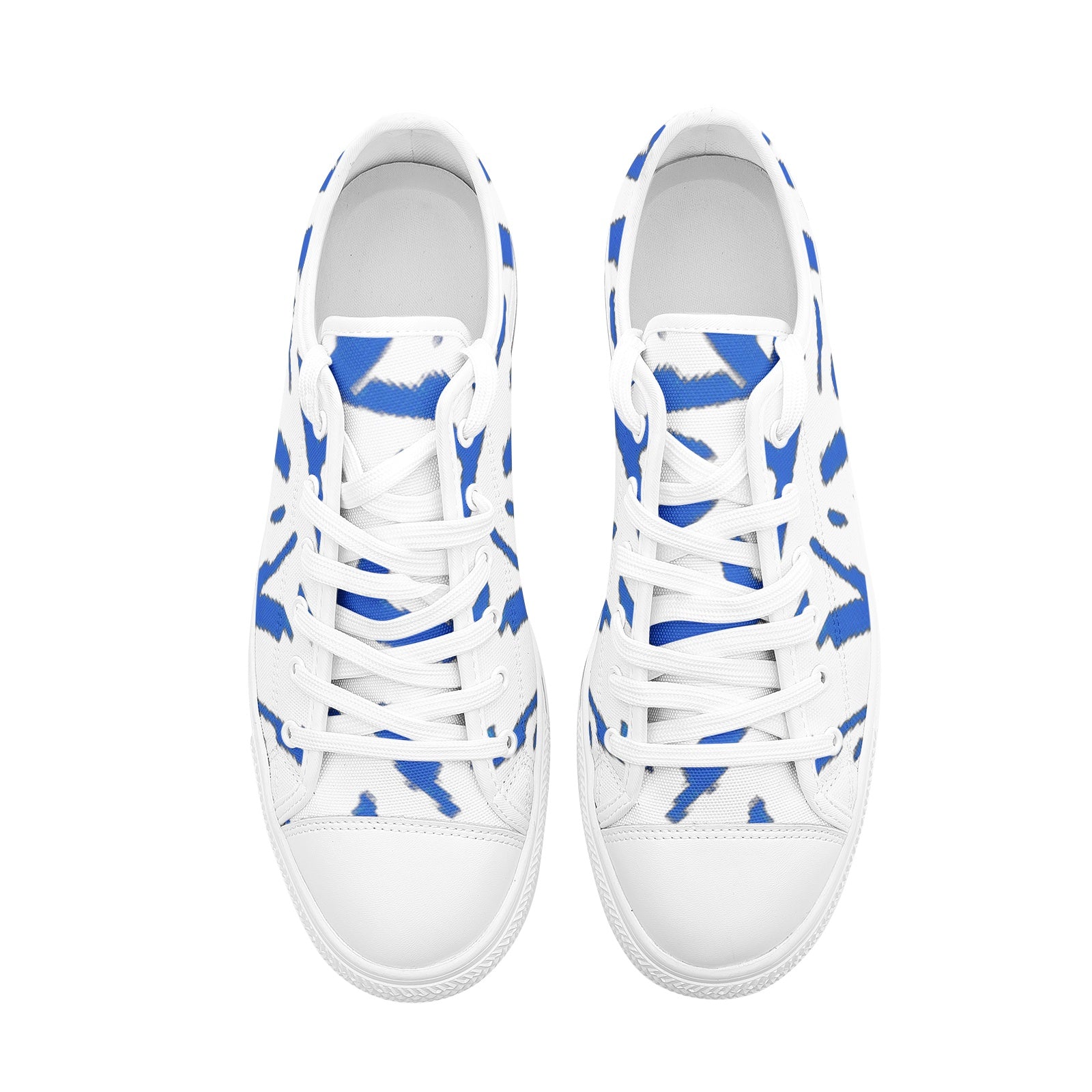 FZ Unisex Low Top Canvas Shoes