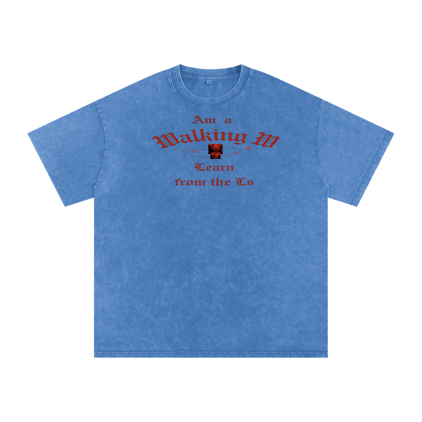 FZ Unisex Snow Washed Oversized Cotton Tee