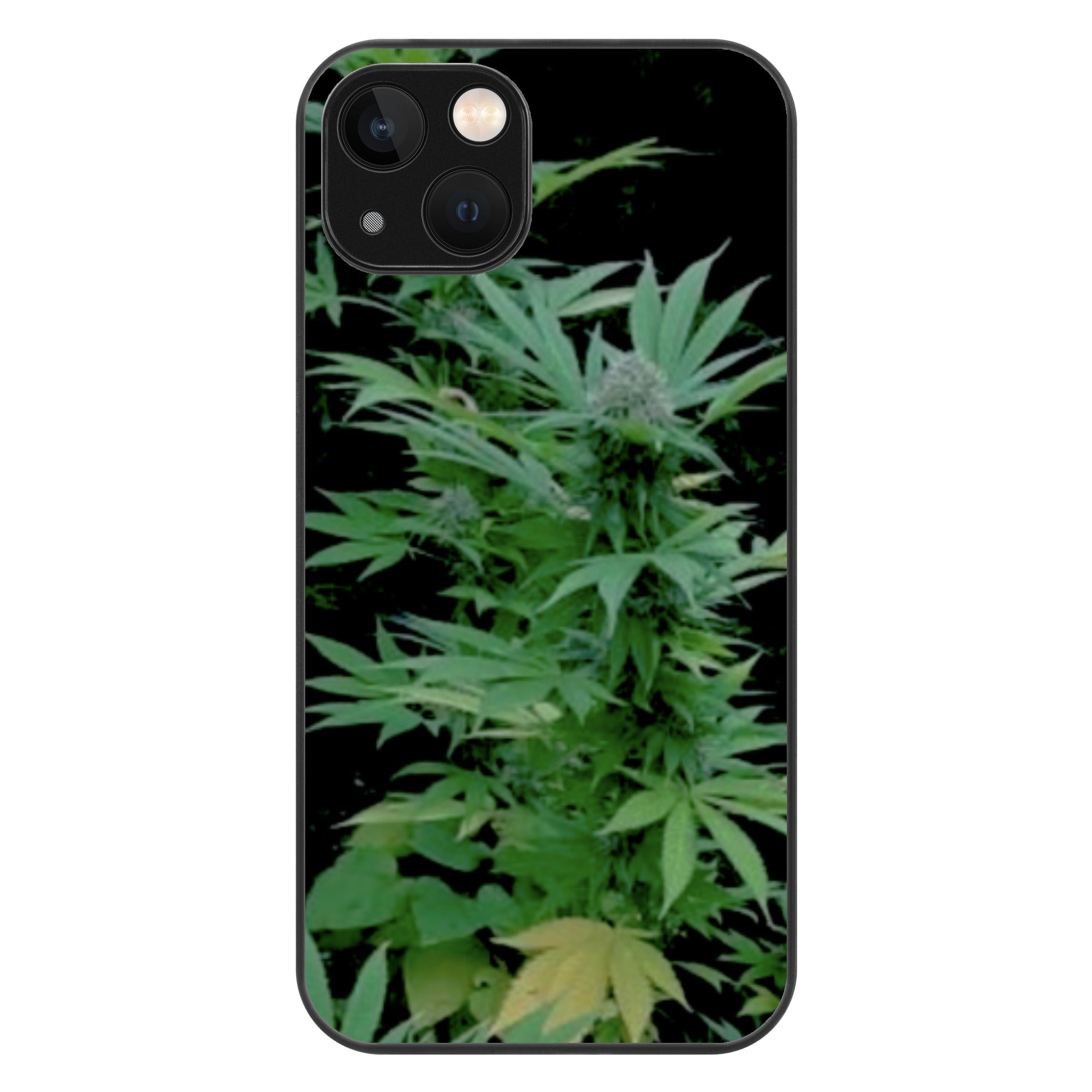 FZ iPhone13 Series Phone Cases - FZwear