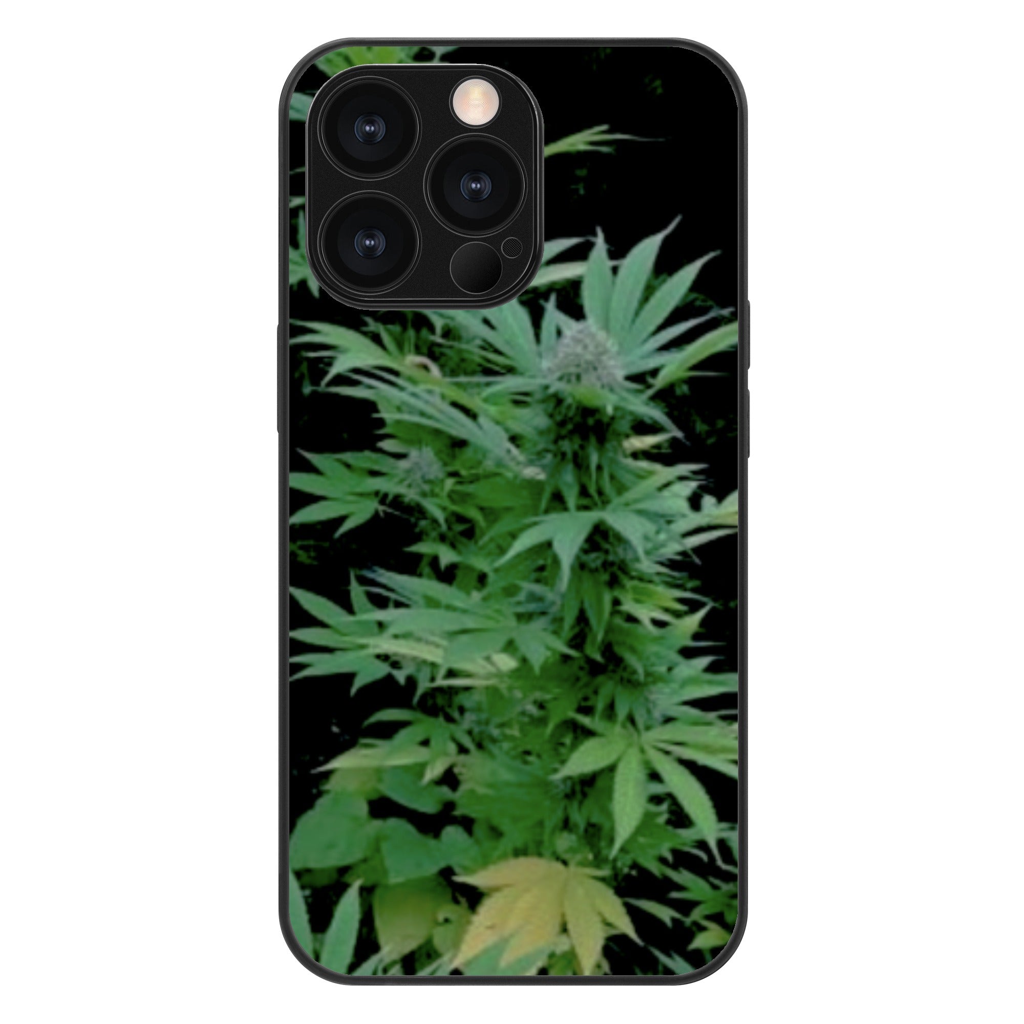 FZ iPhone13 Series Phone Cases - FZwear