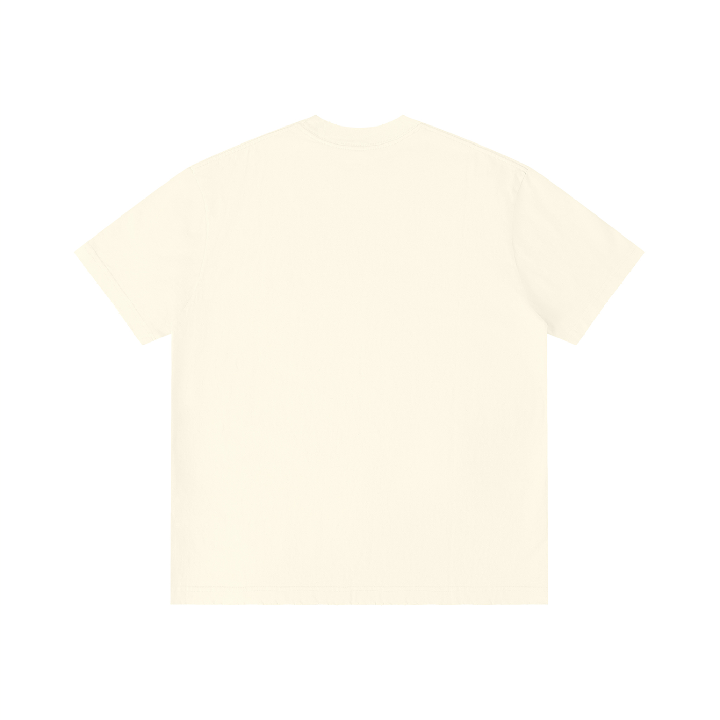 FZ Unisex Vintage Wash Distressed Tee
