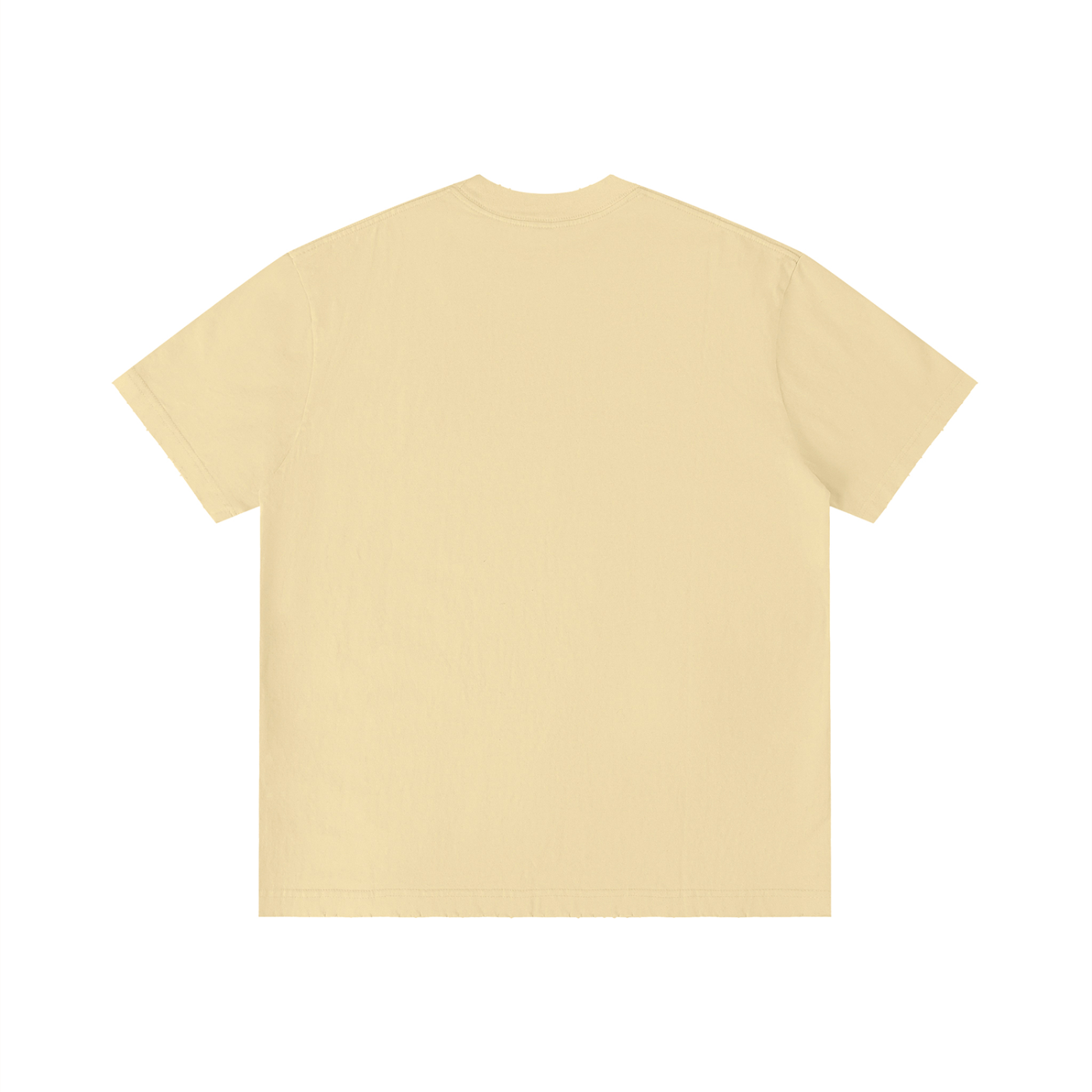 FZ Unisex Vintage Wash Distressed Tee