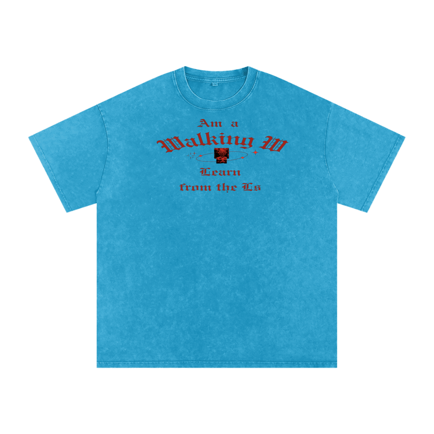 FZ Unisex Snow Washed Oversized Cotton Tee