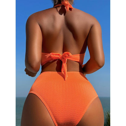 FZ Women's Sexy Bikini Split Backless Swimsuit