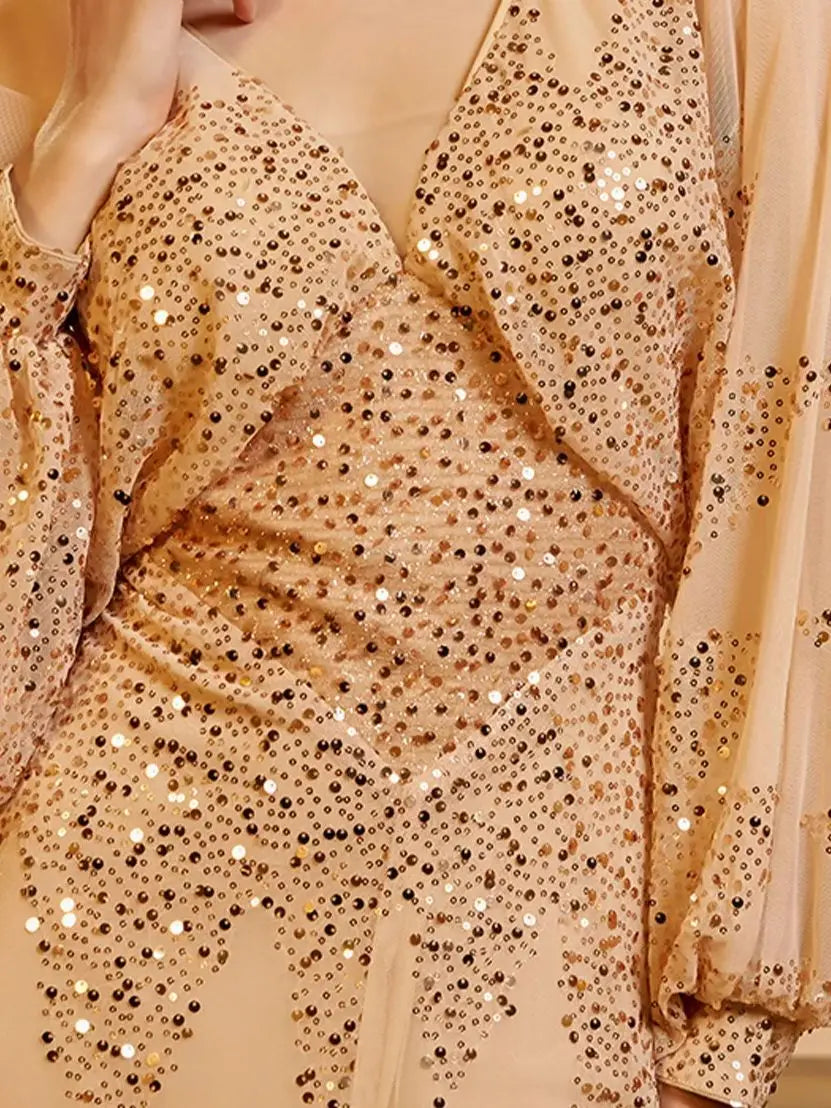 FZ Women's Plus Size V Neck Lantern Sleeve Sequin Evening Dress