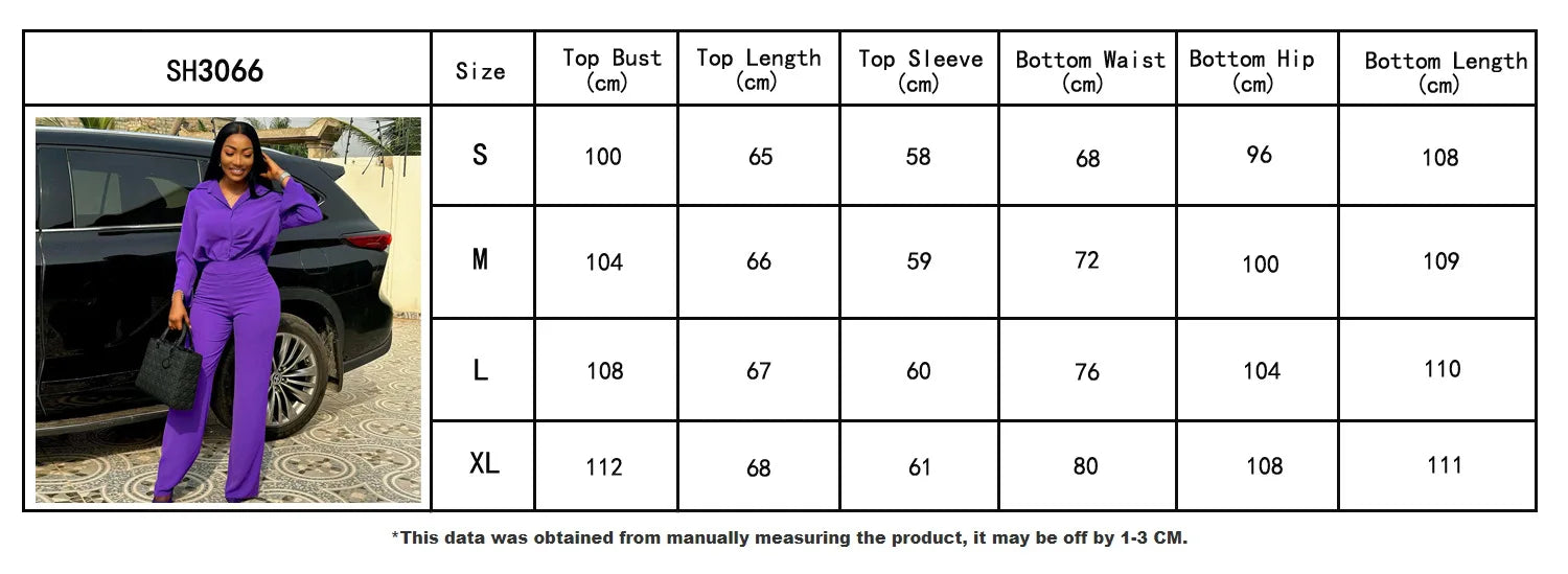 FZ Women's Wide Leg Two Piece Pants Suit