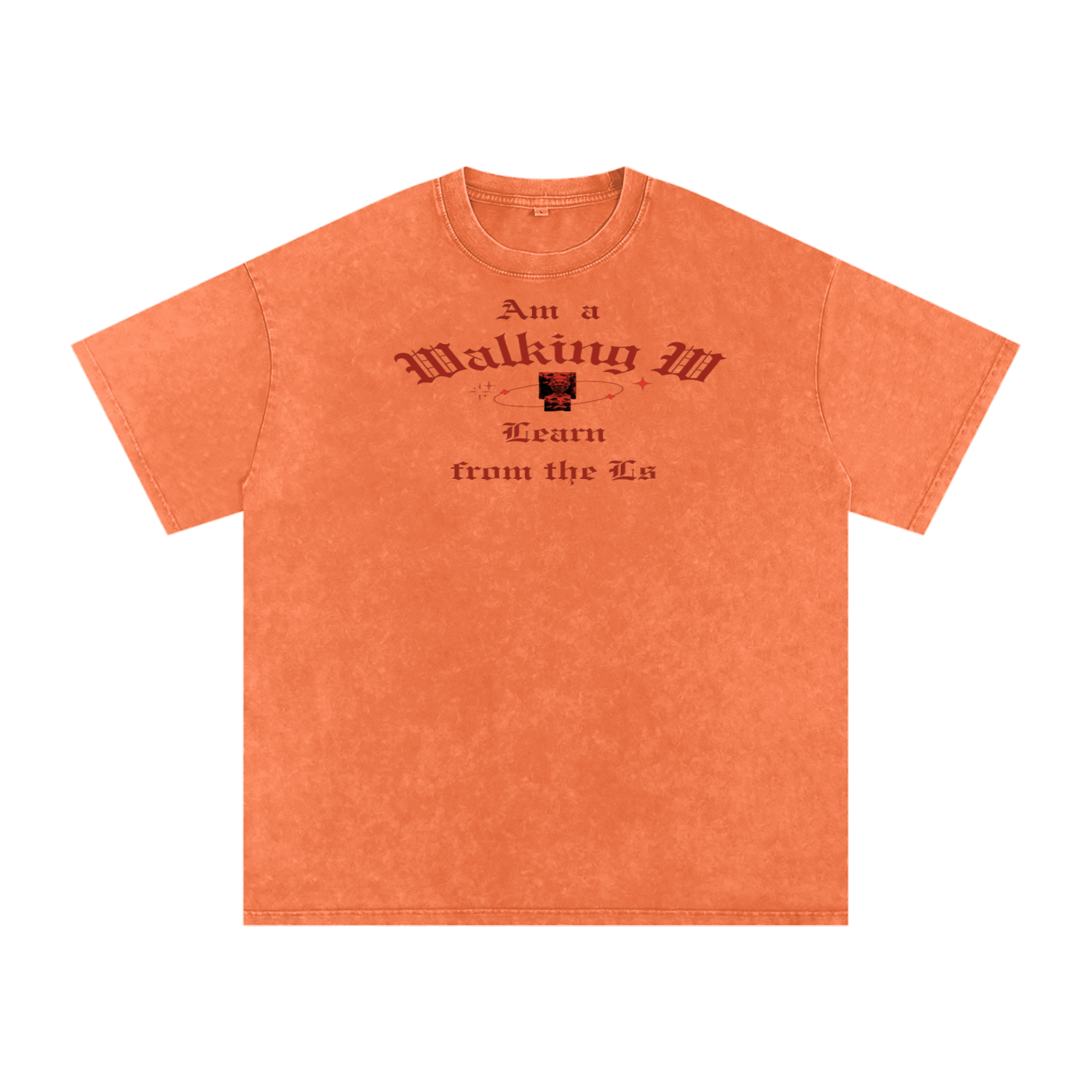 FZ Unisex Snow Washed Oversized Cotton Tee