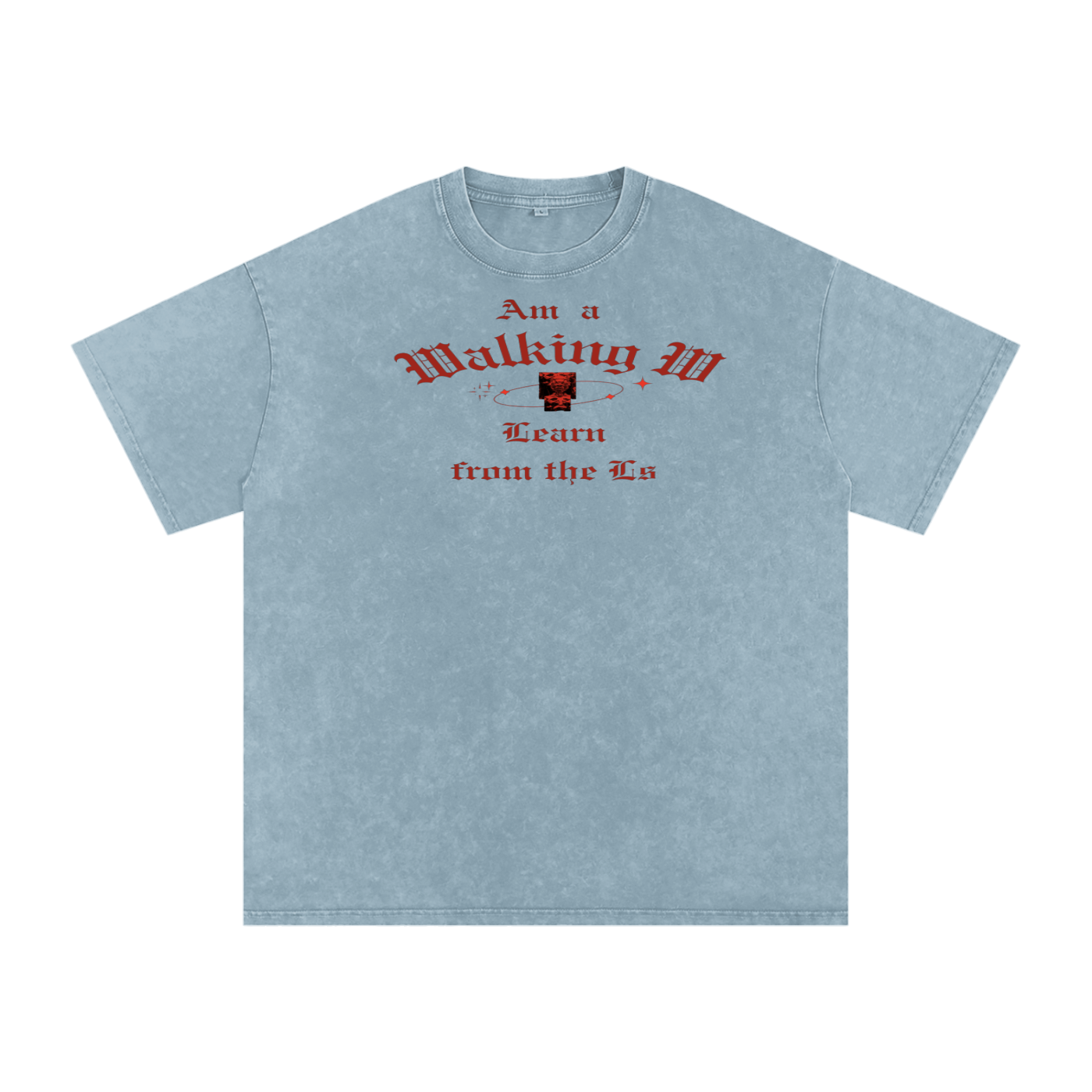 FZ Unisex Snow Washed Oversized Cotton Tee