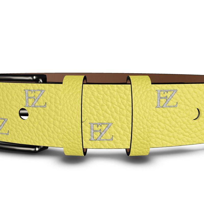 fz designer belt