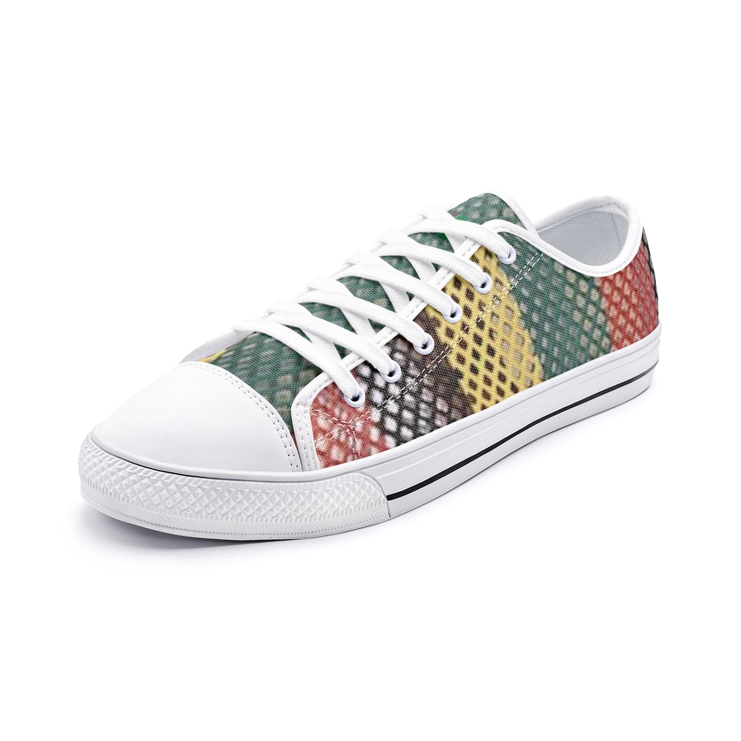 FZ Unisex Rasta Low Top Canvas Shoes