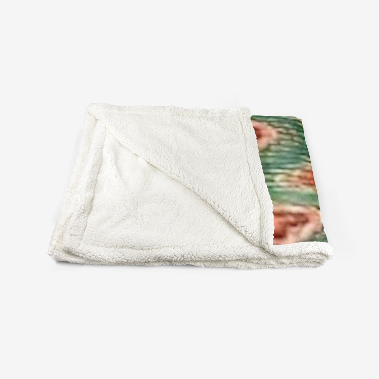 FZ Double-Sided Super Soft Plush Blanket