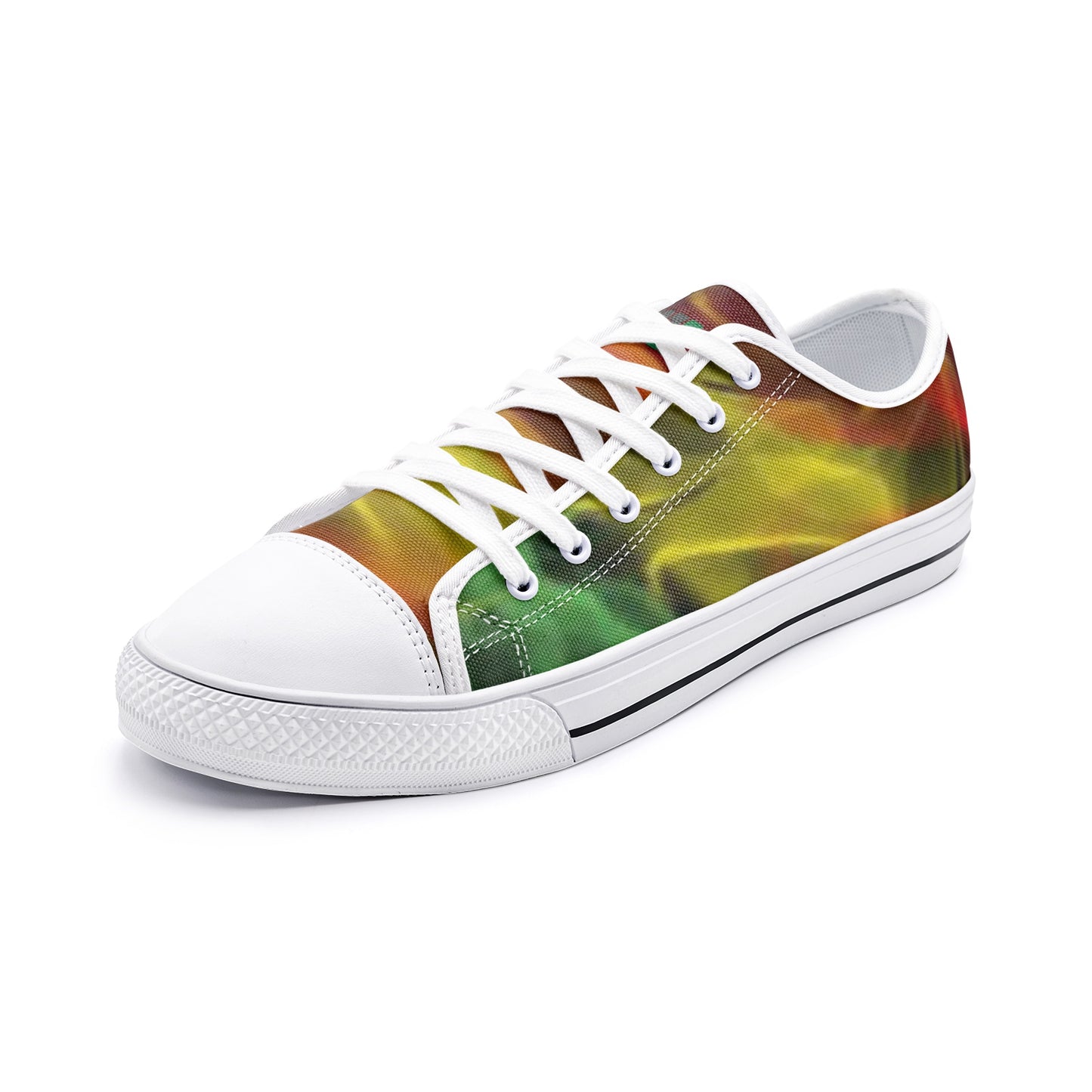 FZ Unisex Low Top Canvas Shoes