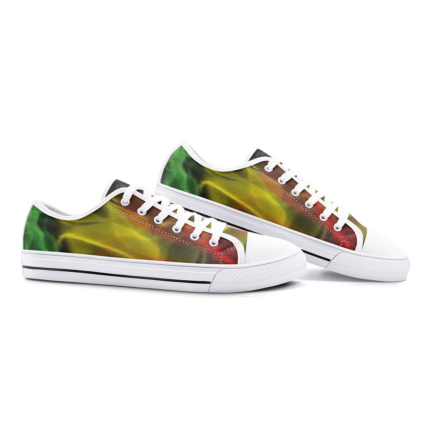 FZ Unisex Low Top Canvas Shoes